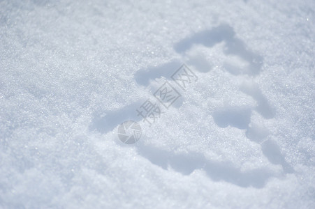 冬天在雪地上的抽象圣诞树图像图片
