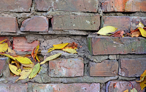摘要背景砖块倒塌墙上的红色碎块粗糙和空洞上的秋叶图片