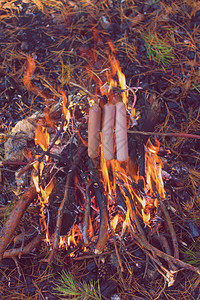 在户外营火上用棍子烹饪香肠图片