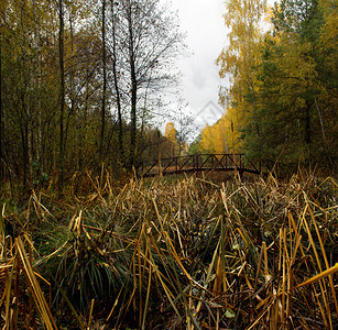 秋天风景秋天公园在湖边公园的明图片
