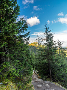 在波兰塔特拉山脉的高山小径上吉昂山图片