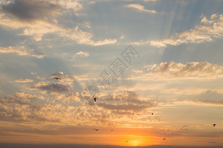 在海滩的美丽的日落海的风景照片杂志背景海报图片