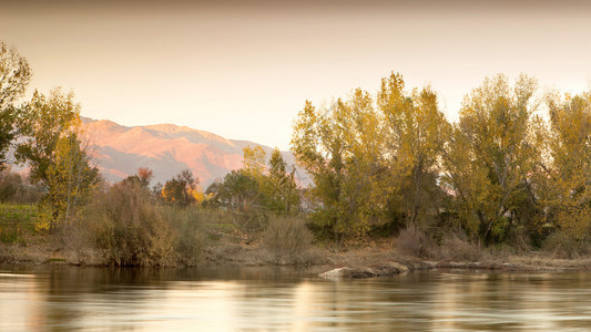 美丽的秋天风景河岸边的树木图片