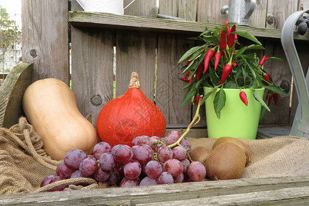 木制背景下的秋季水果和蔬菜图片