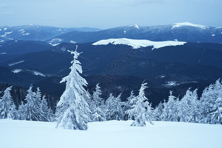 山上的白雪冬季风景和鲜图片