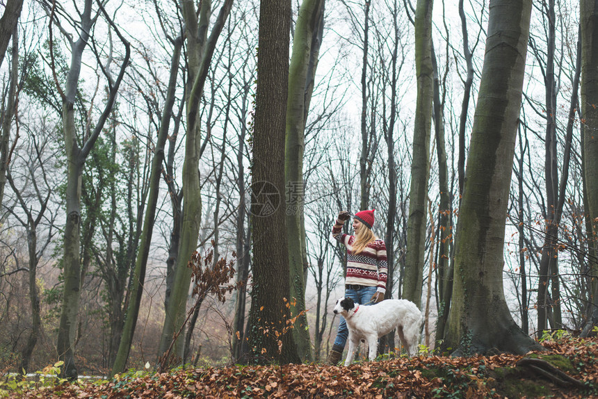 年轻女子和她的狗在森图片
