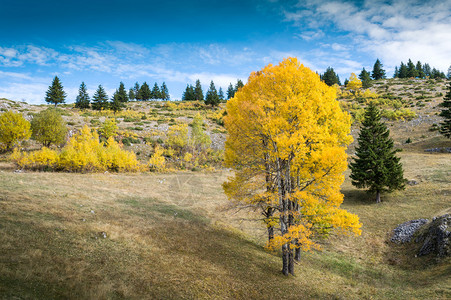 在山的秋天风景图片