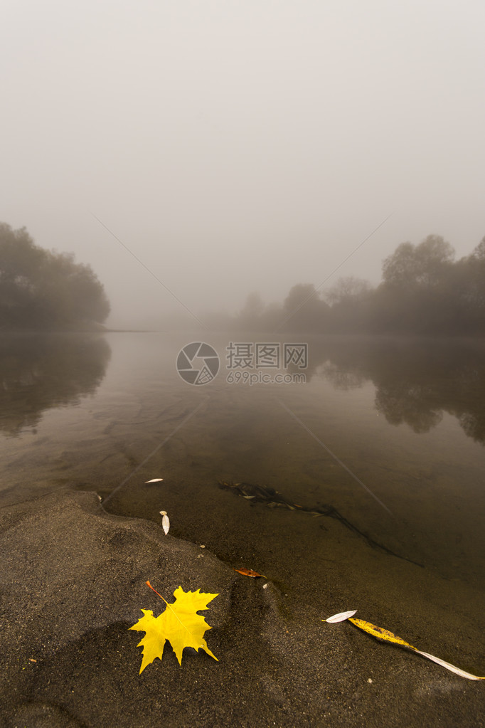 秋天一条野河上的雾和薄雾图片
