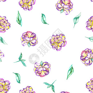 水彩紫色黄色异国花朵小豆和白底绿色叶子的无缝花粉模式以背景图片