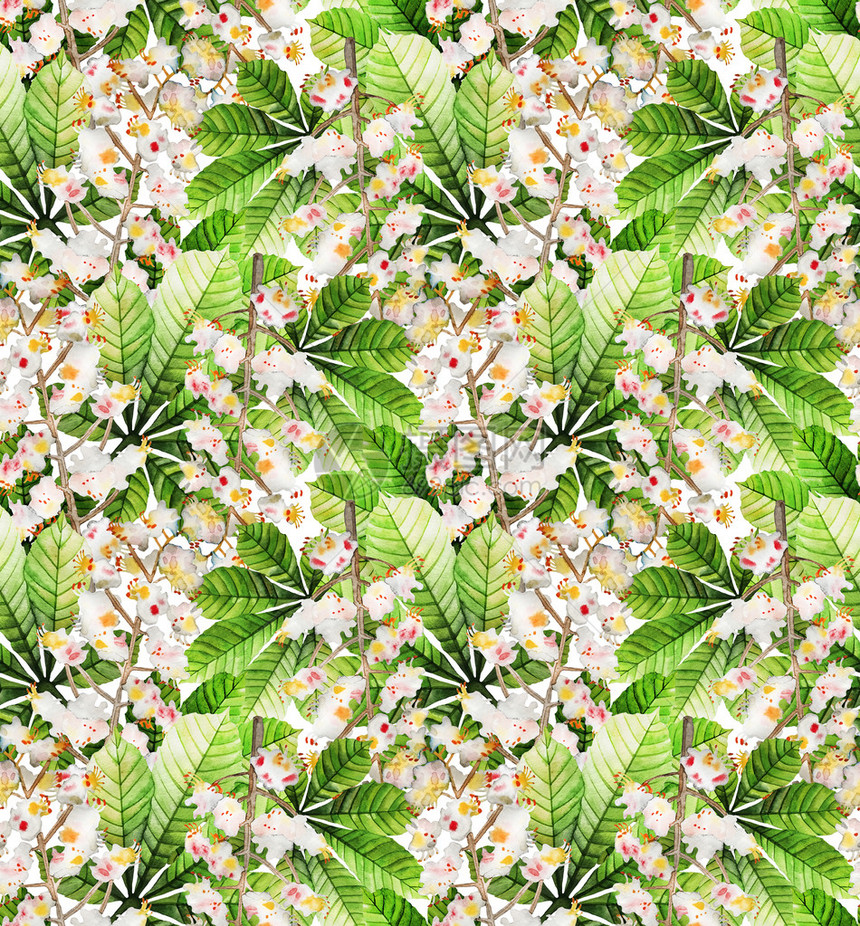 水彩栗子无缝图案花卉生态设计图片
