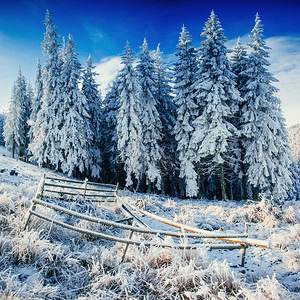 阳光照耀着冬天的风景戏剧回旋场景喀尔巴阡山图片