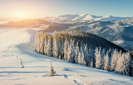 令人振奋的冬季风景和日落时被践踏的道路通向山峰背景图片