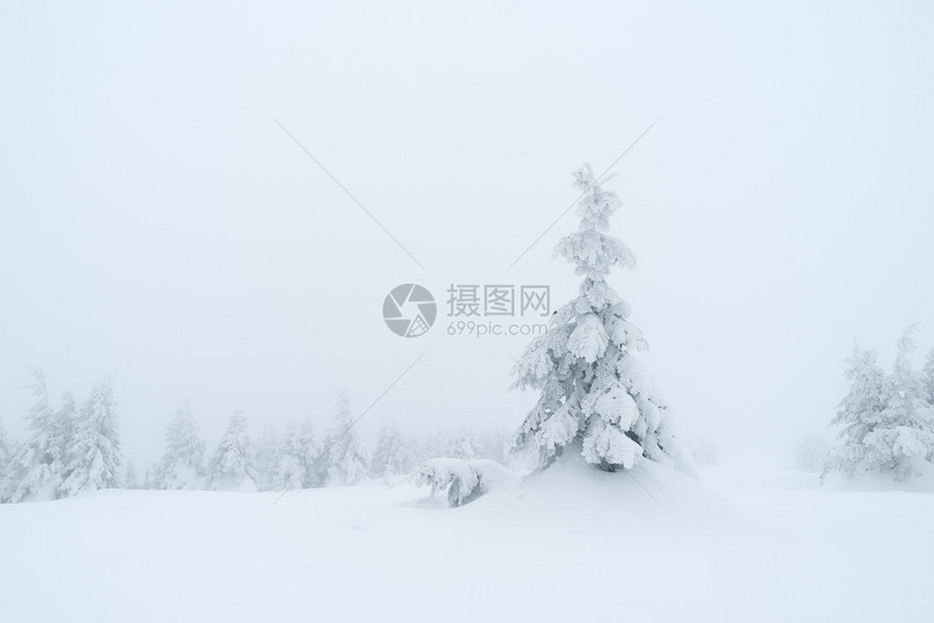 冬季风景雪中的浮云多云的一天喀尔巴阡山脉图片