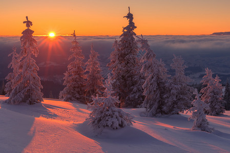 般的橙色夜景在阳光下熠生辉戏剧冬日场景与白雪皑的树木库尔山脊图片