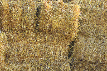 在农场里成捆堆放的稻草图片