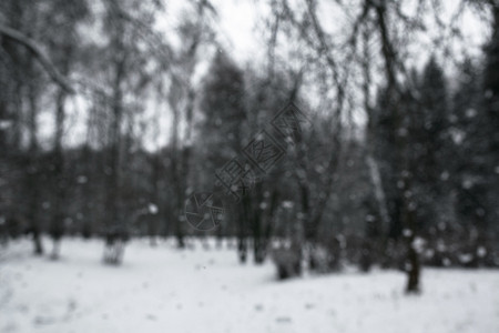 寒冬天气平静积雪多喀尔巴阡山图片