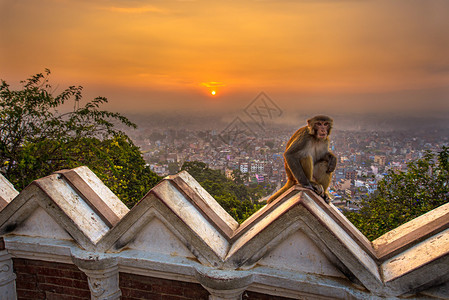 日出在尼泊尔加德满都图片