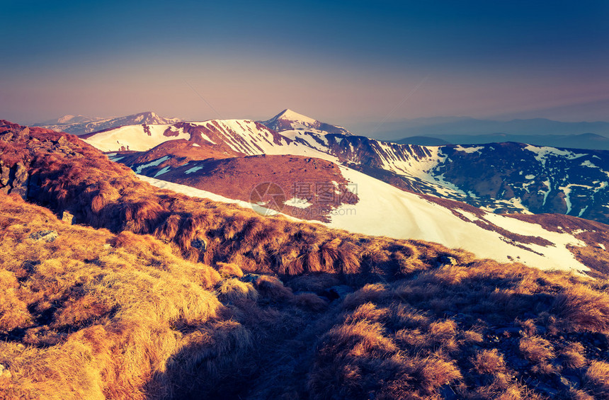 在阳光下发光的白雪山峰的壮丽景色戏剧早晨场景喀尔巴阡图片