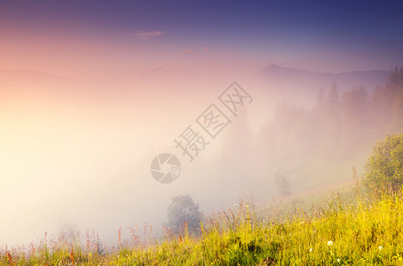 奇妙的雾天和阳光明媚的山丘戏剧早晨风景喀尔巴阡山图片