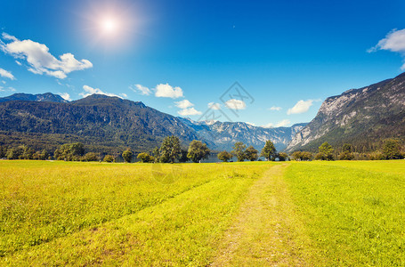 位于朱利安阿尔卑斯山博欣吉谷的特里格拉夫公园的极佳全景图片