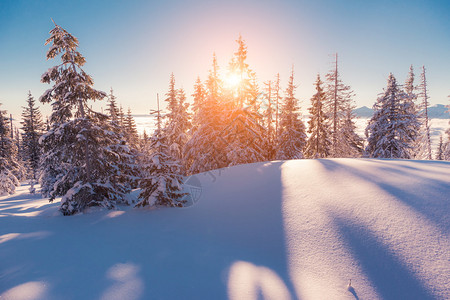 清晨阳光照耀着大冬天的风景戏剧回旋场景喀尔巴阡山图片