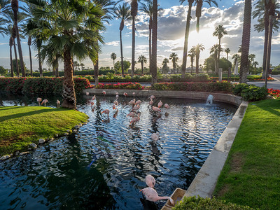 2015年11月19日在加利福尼亚州棕榈沙漠的JW万豪沙漠温泉度假村及水疗中心的高尔夫球场景观万豪酒店是受欢迎的图片