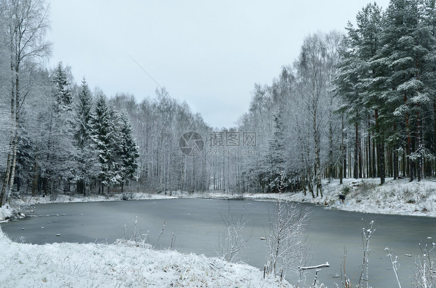 木头冬季景观图片