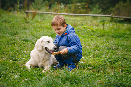 小男孩在森林草坪里玩和一个金图片