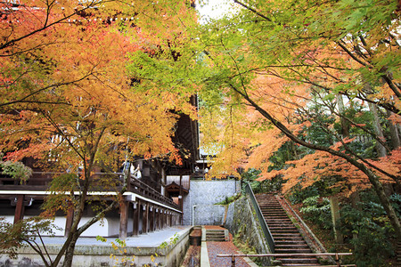 日本京都的秋天图片