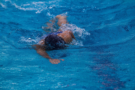 游泳池里的专业游泳员阳光图片
