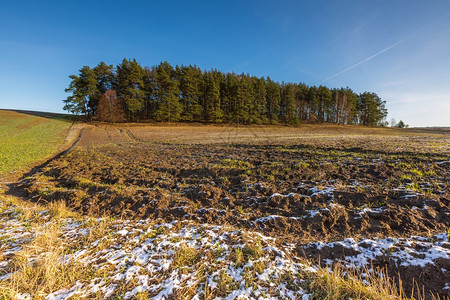 冬季早期或秋天末的田地风景天图片