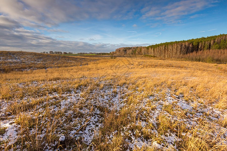 冬季早期或秋天末的田地风景天图片