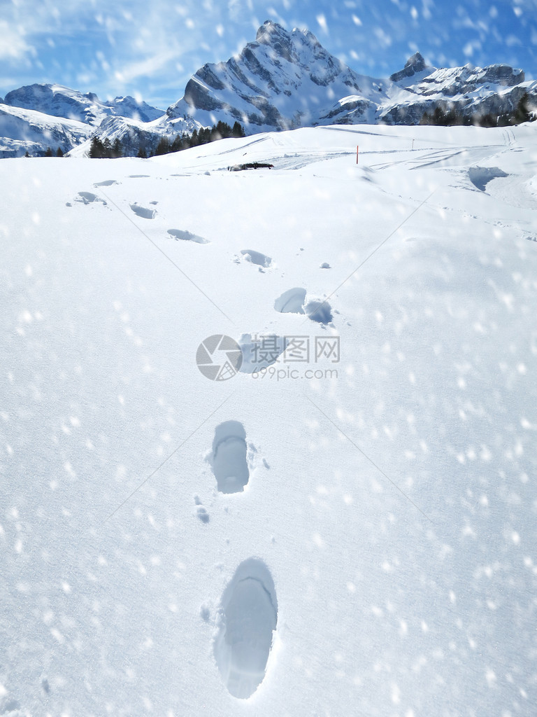 瑞士阿尔卑斯山深雪中的足迹图片