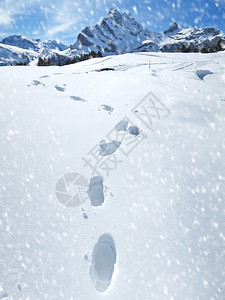 瑞士阿尔卑斯山深雪中的足迹图片