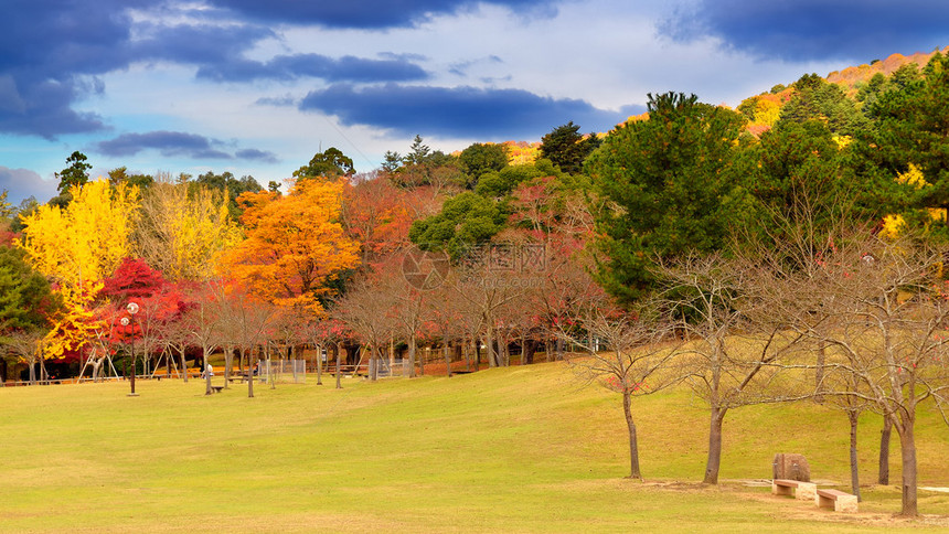 日本奈拉县纳拉公园的图片