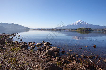 春季河口湖倒影的富士山图片