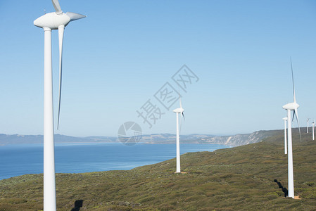 西澳大利亚州南大洋海岸的风力农场高清图片