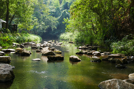 山旁小溪中的石头景色图片