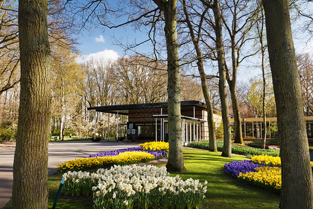荷兰公园花卉床图片