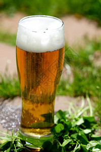 玻璃杯中的冰镇啤酒特写图片