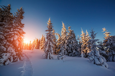 清晨阳光照耀的寒冬风景戏剧图片