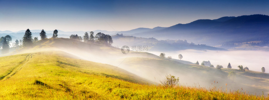 奇妙的雾天和阳光明媚的山丘图片