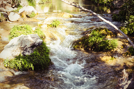 森林里的泉水照片图片