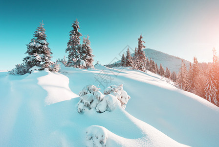 清晨阳光照耀着大冬天的风景戏剧回旋场景喀尔巴阡山背景图片