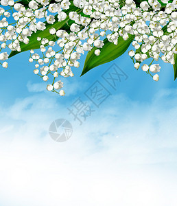 花铃兰和蓝天白云图片