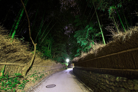日本京都夜晚的竹林小径图片