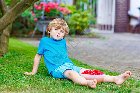 可爱的小男孩在温暖的夏日图片
