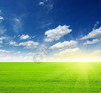 绿地蓝天和太阳图片