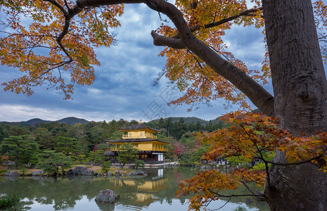 秋天的金阁寺日本京都著名的金阁图片