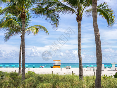 佛罗里达海滩的景色图片